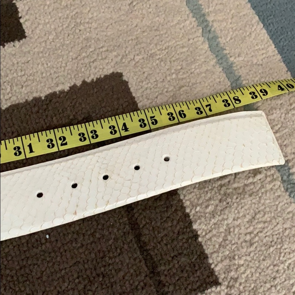 W. Kleinberg Python Belt - Picture 6 of 8